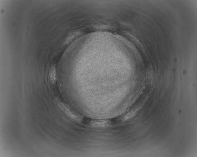 X0000081290479200702012249