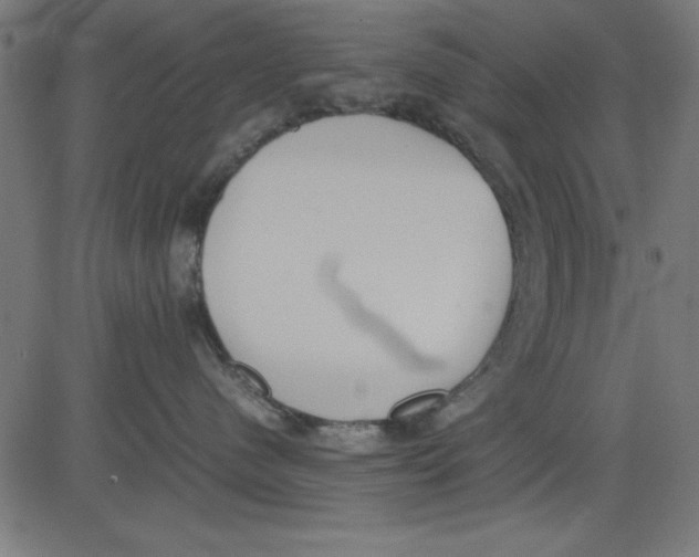 X0000081290480200702012249