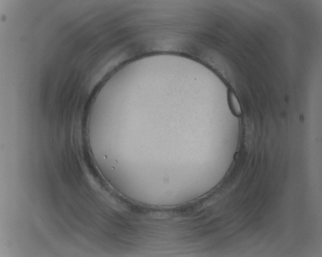 X0000081290482200702012248