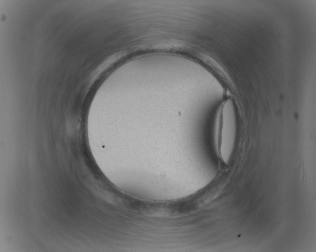 X0000081290483200702012248