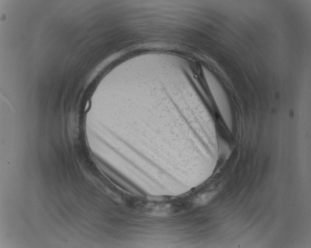 X0000081290484200702012248