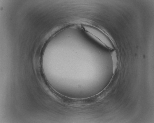 X0000081290485200702012248