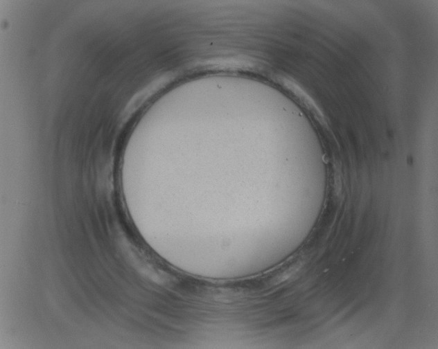 X0000081290486200702012248