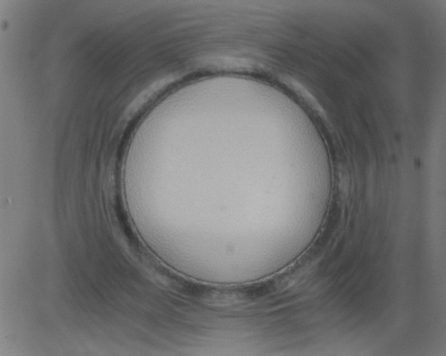 X0000081290487200702012248