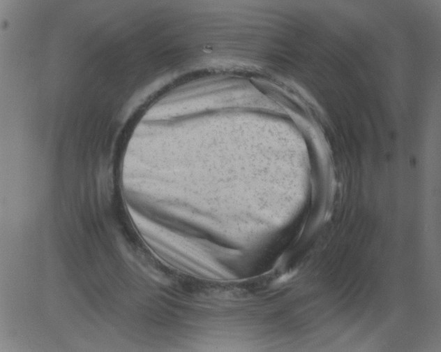 X0000081290488200702012248