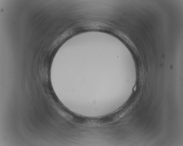 X0000081290489200702012248