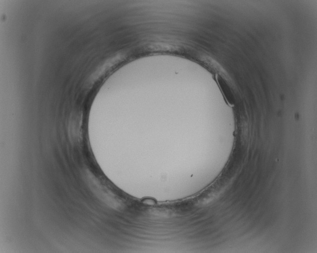 X0000081290490200702012248