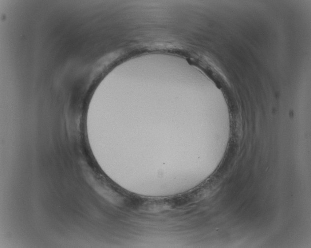 X0000081290491200702012248