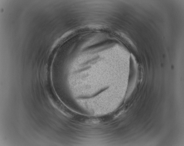 X0000081290492200702012248