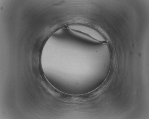 X0000081290493200702012248