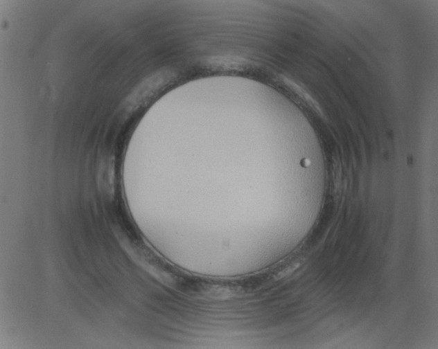 X0000081290494200702012248