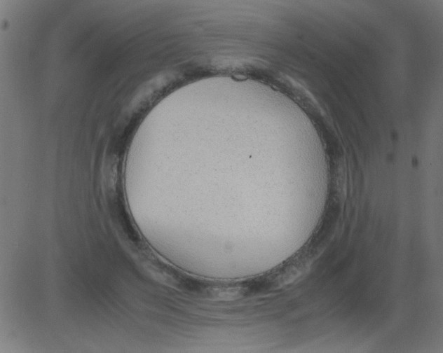 X0000081290495200702012248