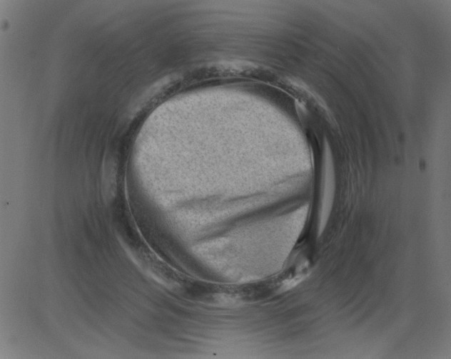 X0000081290496200702012248