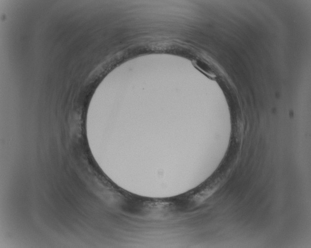 X0000081290497200702012248