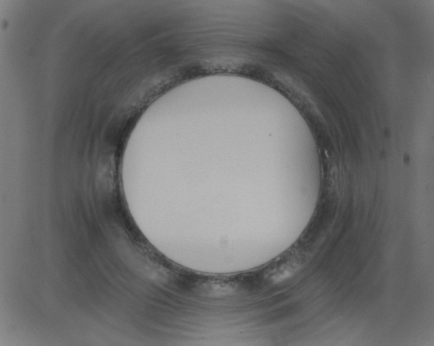 X0000081290498200702012248