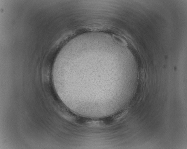 X0000081290499200702012248