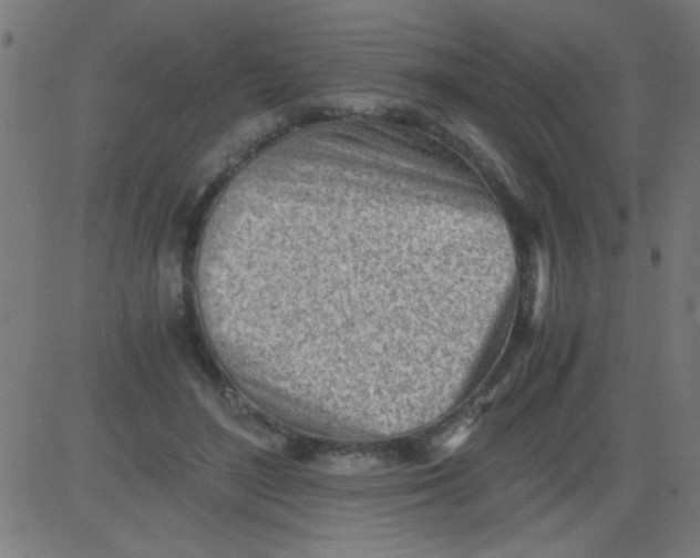 X0000081290500200702012248