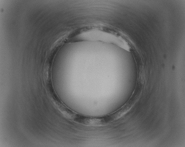 X0000081290501200702012248