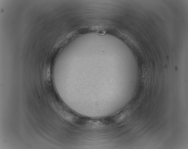 X0000081290502200702012248