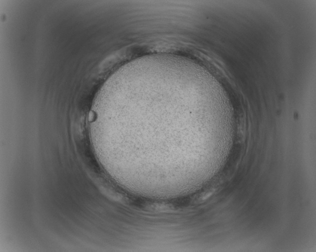 X0000081290503200702012248