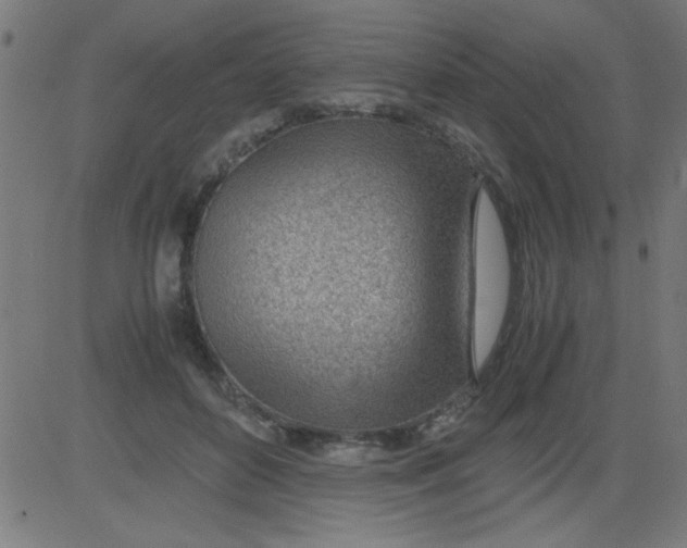 X0000081290504200702012248