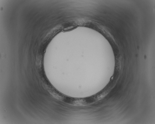 X0000081290505200702012248