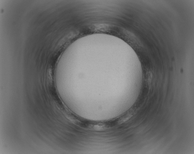 X0000081290506200702012247