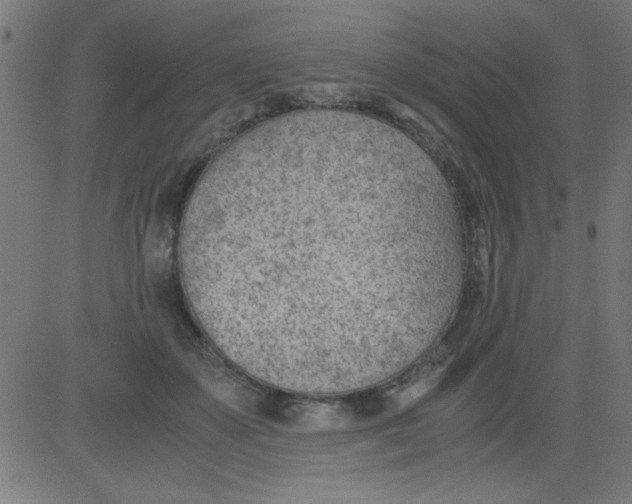 X0000081290507200702012247