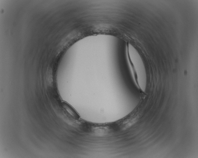 X0000081290508200702012247