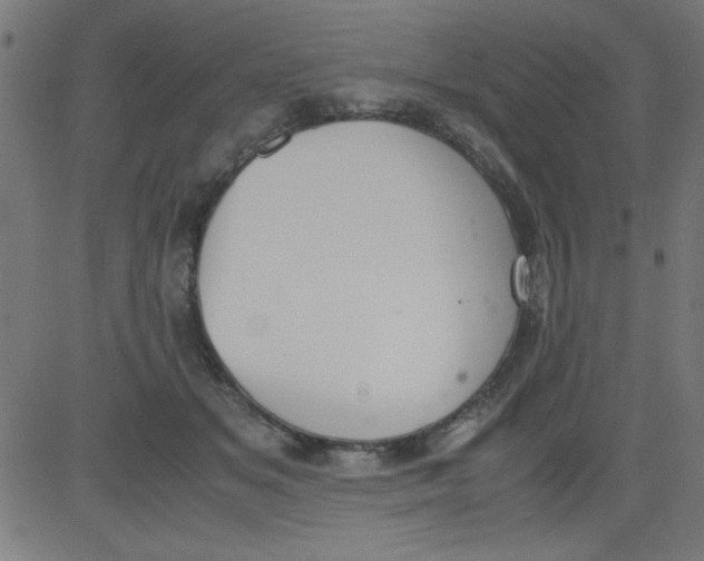 X0000081290509200702012247