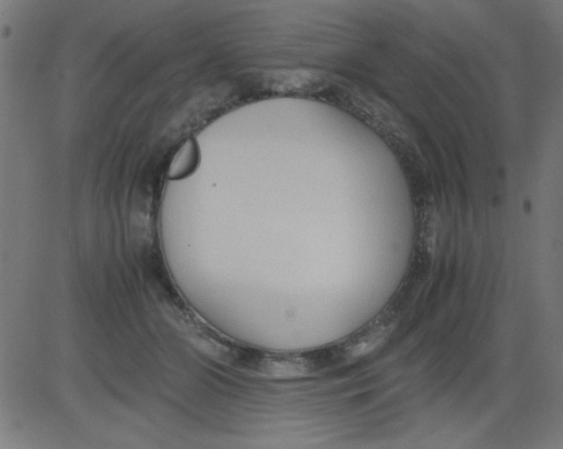 X0000081290510200702012247