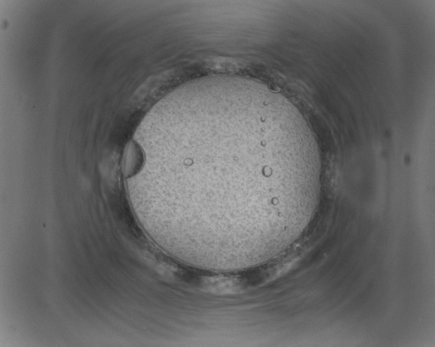 X0000081290511200702012247