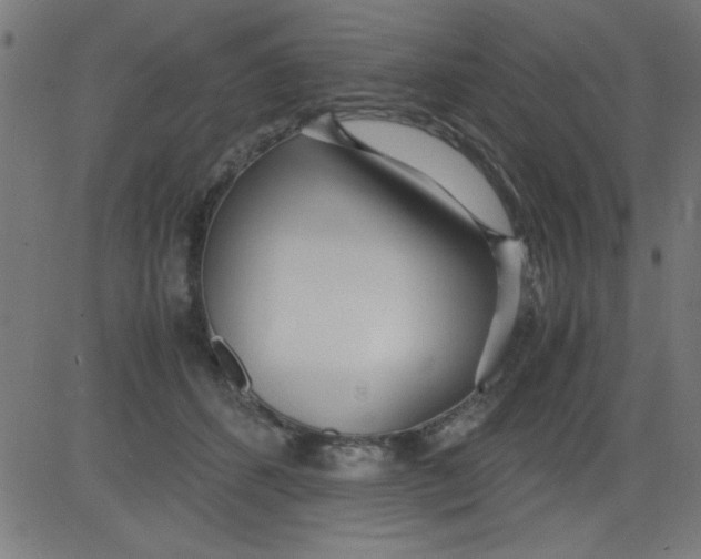 X0000081290512200702012247