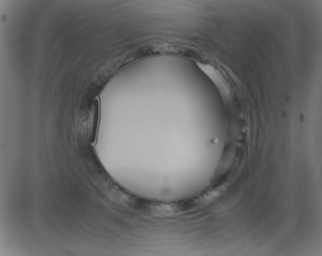 X0000081290513200702012247