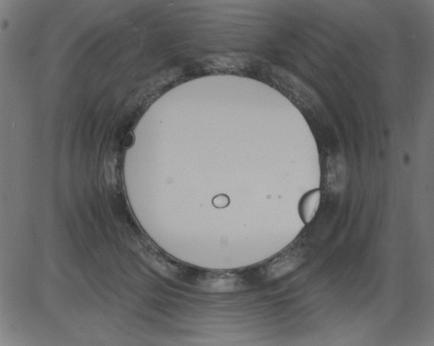 X0000081290514200702012247