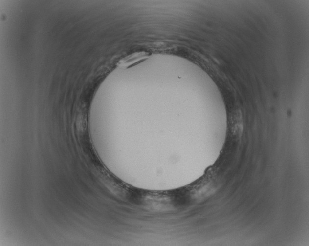 X0000081290515200702012247