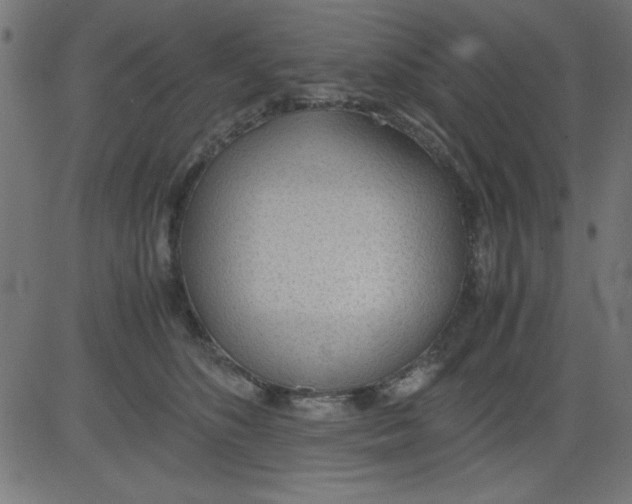 X0000081290516200702012247