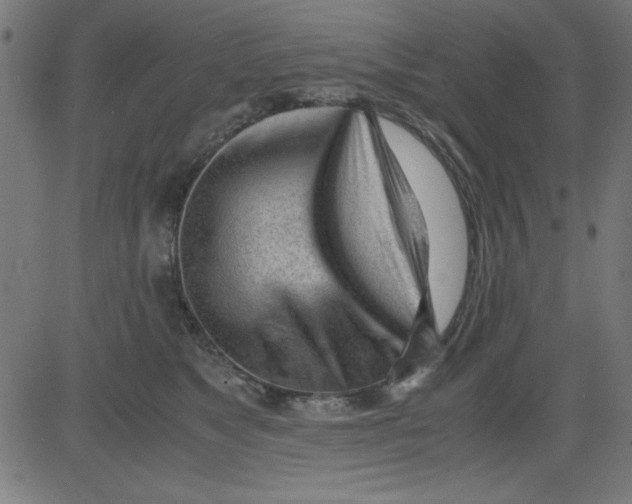 X0000081290517200702012247