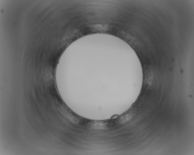 X0000081290518200702012247