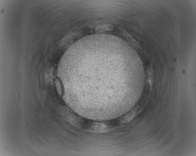 X0000081290519200702012247