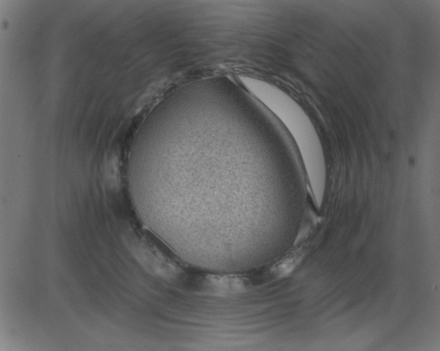 X0000081290520200702012247