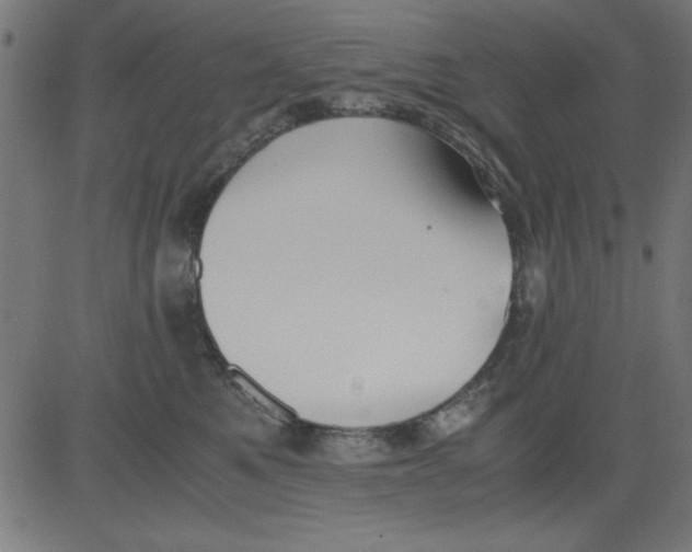 X0000081290521200702012247