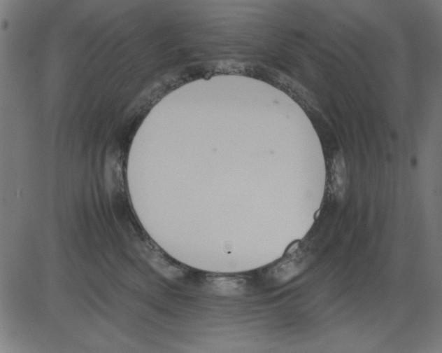 X0000081290522200702012247