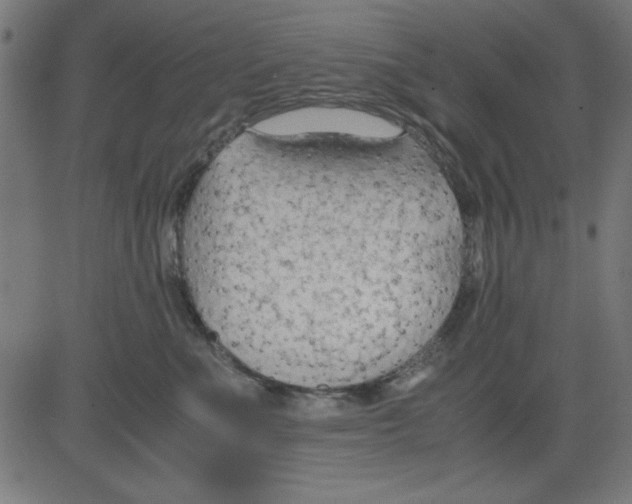 X0000081290523200702012247