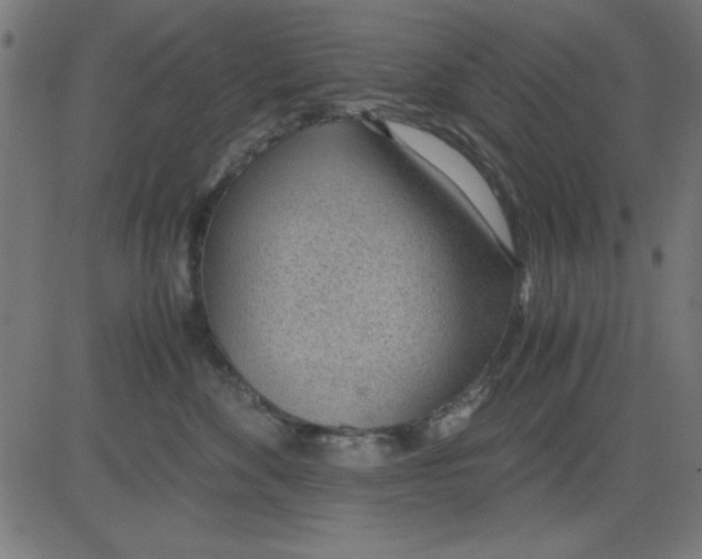 X0000081290524200702012247