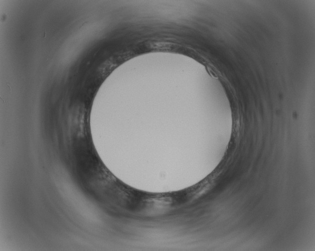 X0000081290525200702012247