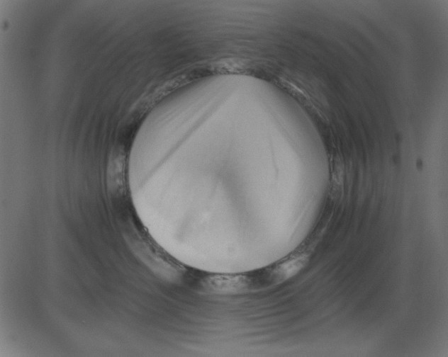 X0000081290526200702012247