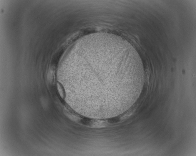 X0000081290527200702012247