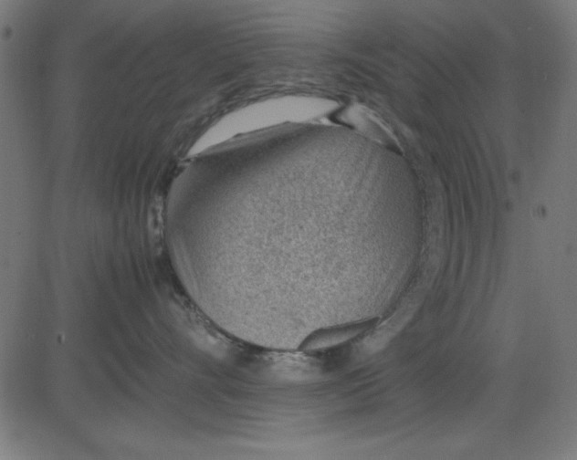 X0000081290528200702012247