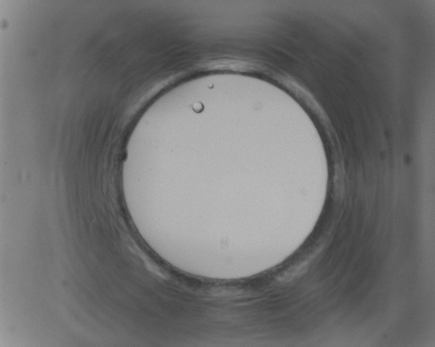 X0000081290529200702012246